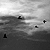 :iconlithium95: