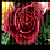 :iconlithiumx0: