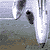 :iconlithograph:
