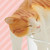 :iconlitran: