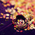 :iconlittl3magic: