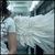 :iconlittle-angelok: