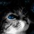 :iconlittle-cin-cin: