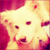 :iconlittle-eeyore: