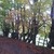:iconlittle-gemstone: