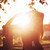 :iconlittle-grey91: