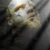 :iconlittle-haunted-boy: