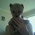 :iconlittle-kea: