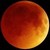 :iconlittle-kiwi: