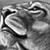 :iconlittle-lionheart: