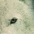 :iconlittle-mecho: