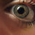 :iconlittle-miss-blue: