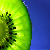 :iconlittle-miss-kiwi: