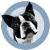 :iconlittle-miss-squirrel: