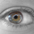 :iconlittle-neith: