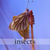 :iconlittle-people: