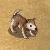 :iconlittle-pickle11: