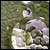 :iconlittle-planet: