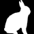 :iconlittle-rabbit: