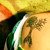 :iconlittle-solace: