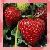 :iconlittle-strawberry: