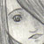 :iconlittle-van:
