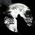 :iconlittle-wolff: