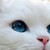 :iconlittle8undead: