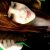 :iconlittleaphotography: