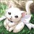 :iconlittlearichan: