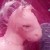 :iconlittlebirdloulou: