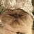 :iconlittleblackcandle: