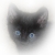:iconlittleblackkitten: