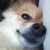 :iconlittleblood0035: