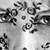 :iconlittlebouddha: