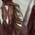 :iconlittlebuckaroo-stock: