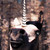 :iconlittlebuckaroo-stock: