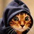:iconlittlecatblue: