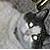 :iconlittlecatsfeet: