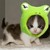 :iconlittlecrazymonster: