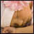 :iconLittleEmmaElise: