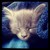 :iconlittleevil102: