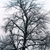 :iconlittlefrankenstein:
