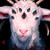 :iconlittlefuture:
