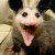 :iconlittleg33k:
