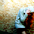 :iconlittleghosts: