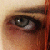 :iconlittlegingerkitten: