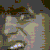 :iconlittlegirlempty: