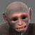 :iconlittlegrayplz: