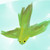 :iconlittlegreenbudgie: